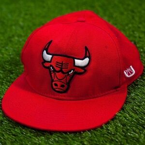 Vintage Bulls Hat